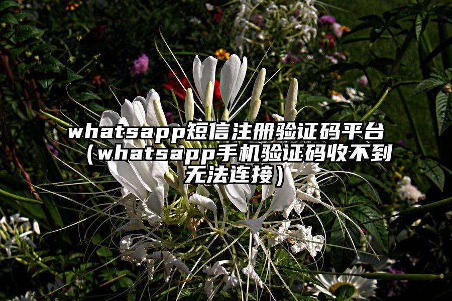 whatsapp短信注册验证码平台（whatsapp手机验证码收不到 无法连接）