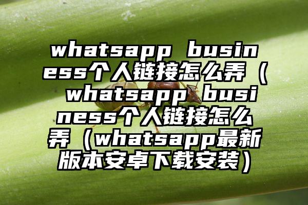 whatsapp business个人链接怎么弄（ whatsapp business个人链接怎么弄（whatsapp最新版本安卓下载安装）