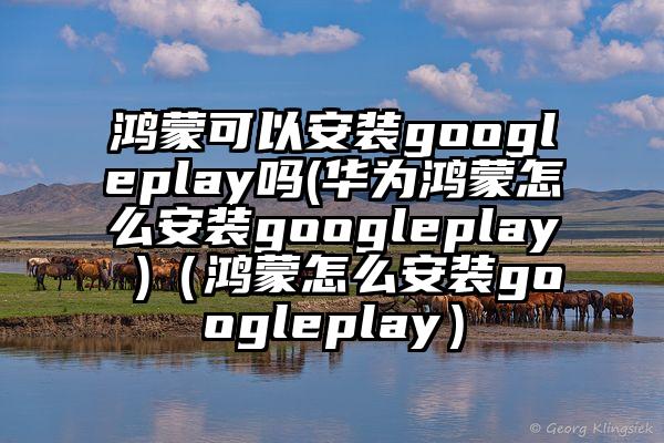 鸿蒙可以安装googleplay吗(华为鸿蒙怎么安装googleplay )（鸿蒙怎么安装googleplay）