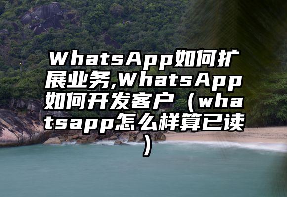 WhatsApp如何扩展业务,WhatsApp如何开发客户（whatsapp怎么样算已读）