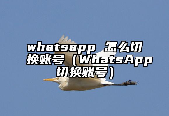 whatsapp 怎么切换账号（WhatsApp切换账号）