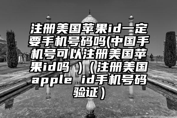 注册美国苹果id一定要手机号码吗(中国手机号可以注册美国苹果id吗 )（注册美国apple id手机号码验证）