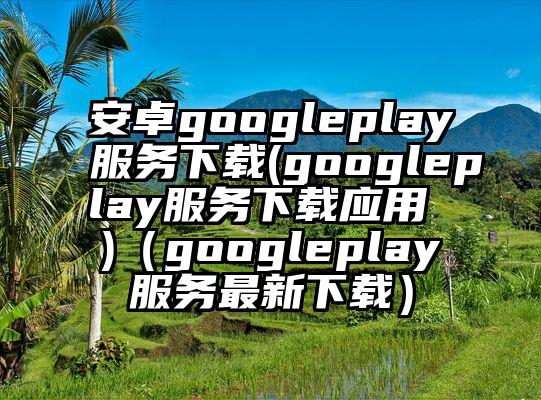 安卓googleplay服务下载(googleplay服务下载应用 )（googleplay服务最新下载）