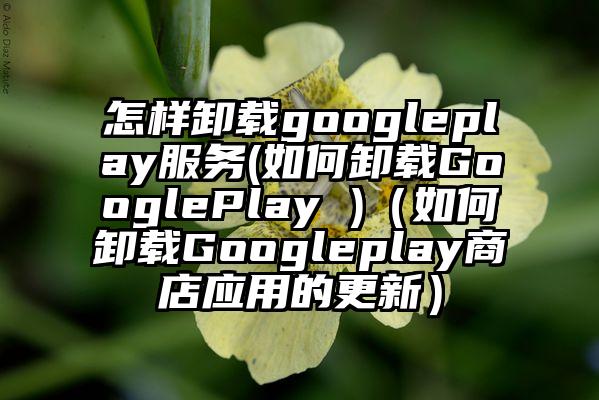 怎样卸载googleplay服务(如何卸载GooglePlay )（如何卸载Googleplay商店应用的更新）