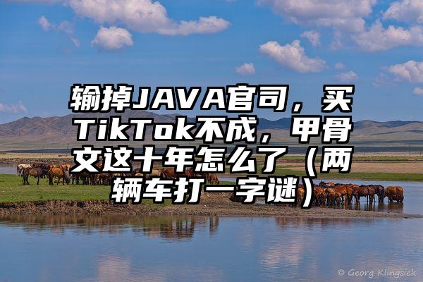 输掉JAVA官司，买TikTok不成，甲骨文这十年怎么了（两辆车打一字谜）