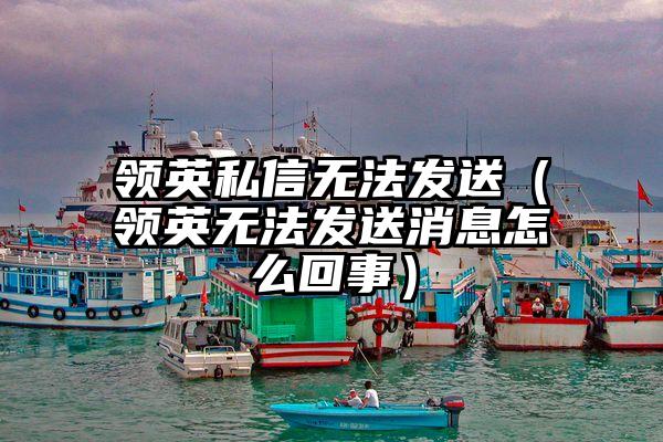 领英私信无法发送（领英无法发送消息怎么回事）