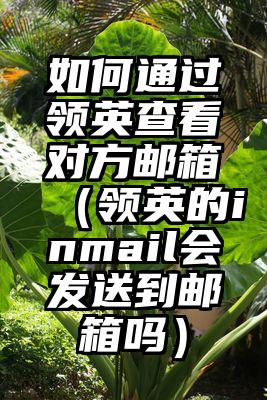 如何通过领英查看对方邮箱（领英的inmail会发送到邮箱吗）