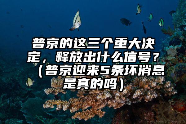 普京的这三个重大决定，释放出什么信号？（普京迎来5条坏消息是真的吗）