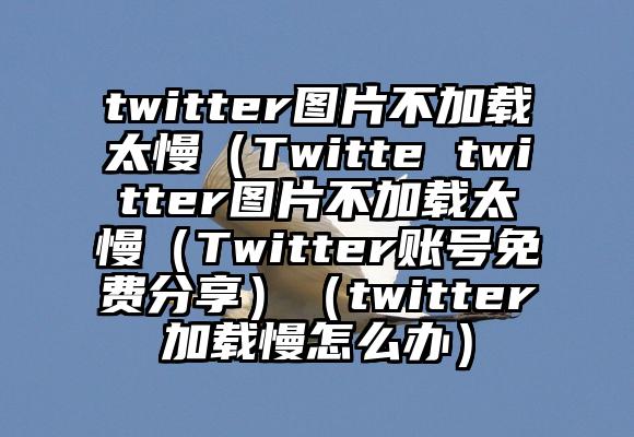 twitter图片不加载太慢（Twitte twitter图片不加载太慢（Twitter账号免费分享）（twitter加载慢怎么办）