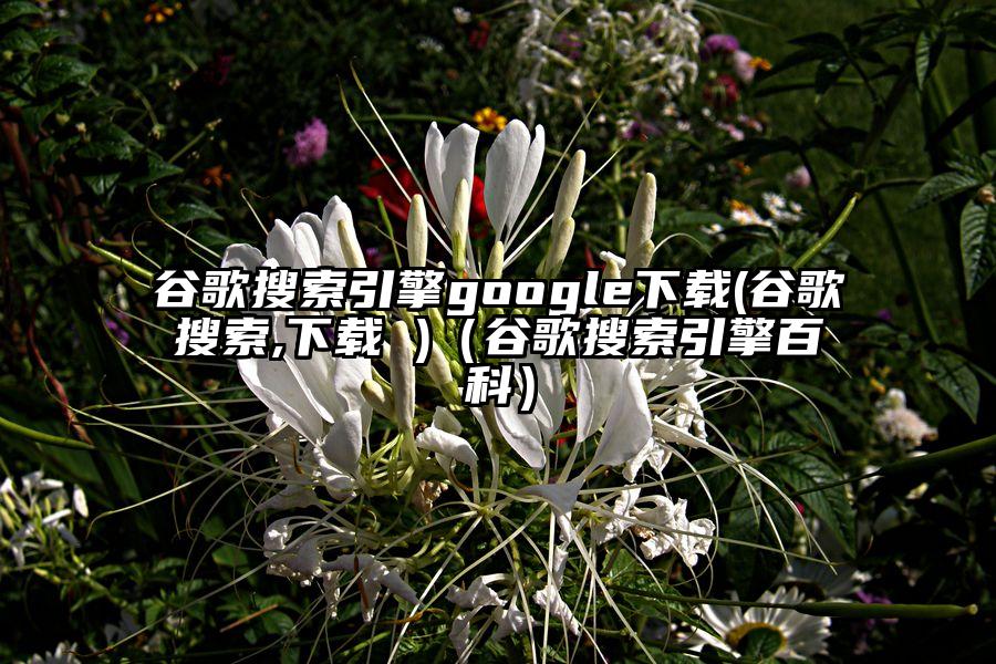 谷歌搜索引擎google下载(谷歌搜索,下载 )（谷歌搜索引擎百科）