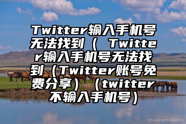 Twitter输入手机号无法找到（ Twitter输入手机号无法找到（Twitter账号免费分享）（twitter不输入手机号）