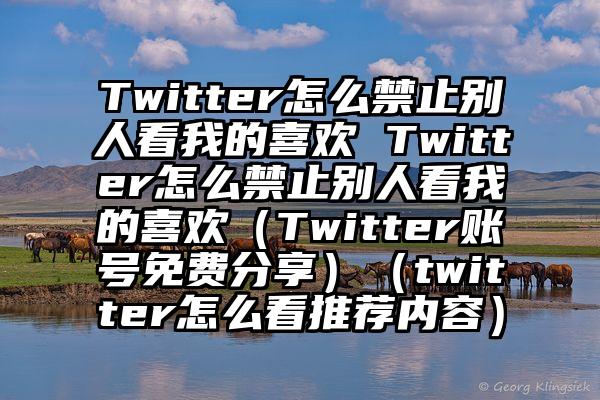 Twitter怎么禁止别人看我的喜欢 Twitter怎么禁止别人看我的喜欢（Twitter账号免费分享）（twitter怎么看推荐内容）