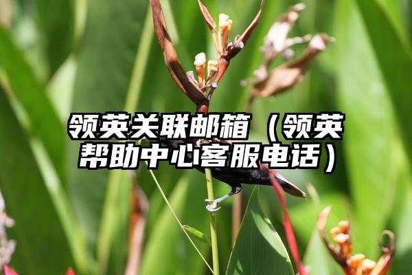 领英关联邮箱(领英帮助中心客服电话)