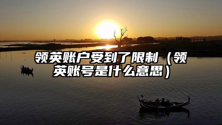 领英账户受到了限制（领英账号是什么意思）