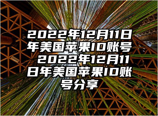 2022年12月11日年美国苹果ID账号 2022年12月11日年美国苹果ID账号分享