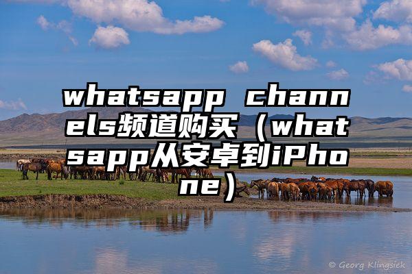 whatsapp channels频道购买（whatsapp从安卓到iPhone）