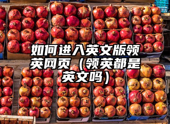 如何进入英文版领英网页（领英都是英文吗）