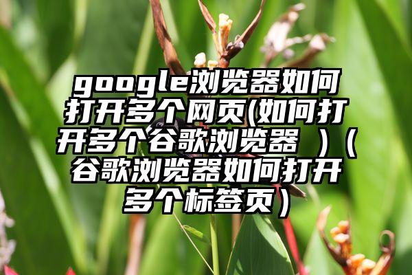 google浏览器如何打开多个网页(如何打开多个谷歌浏览器 )（谷歌浏览器如何打开多个标签页）