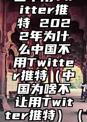 2022年为什么中国不用Twitter推特 2022年为什么中国不用Twitter推特(中国为啥不让用Twitter推特)(为什么中国不给用推特)