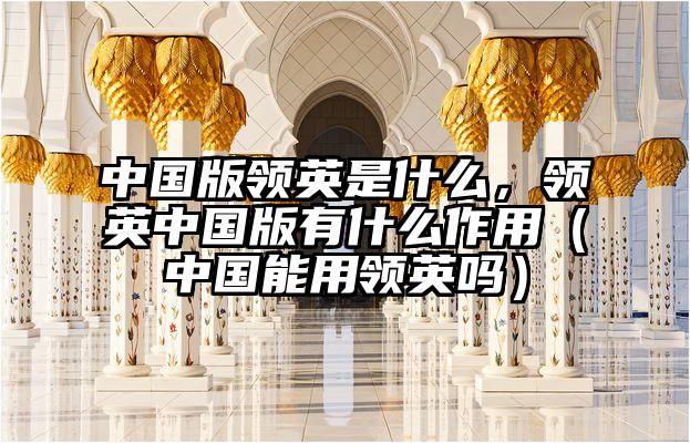 中国版领英是什么，领英中国版有什么作用（中国能用领英吗）