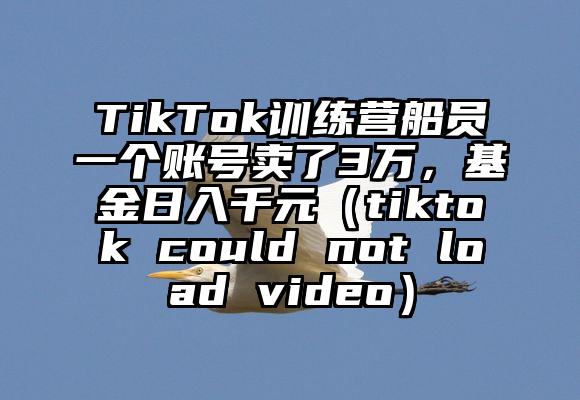 TikTok训练营船员一个账号卖了3万，基金日入千元（tiktok could not load video）