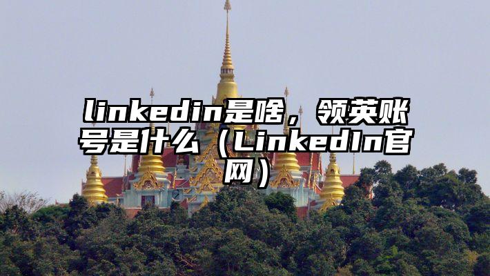 linkedin是啥，领英账号是什么（LinkedIn官网）