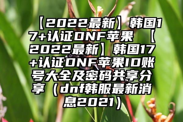 【2022最新】韩国17+认证DNF苹果 【2022最新】韩国17+认证DNF苹果ID账号大全及密码共享分享（dnf韩服最新消息2021）