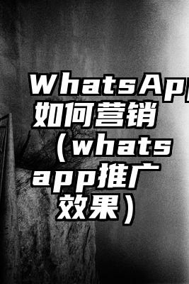 WhatsApp如何营销(whatsapp推广效果)