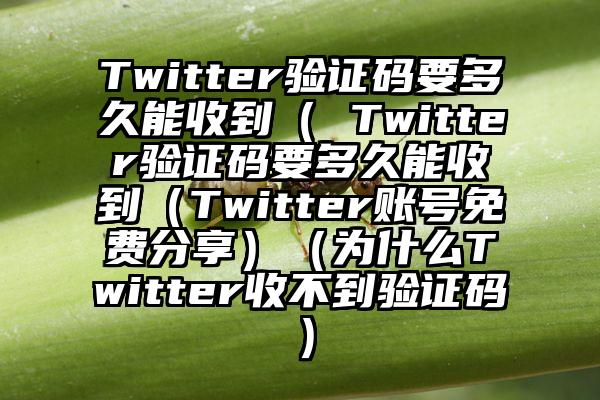 Twitter验证码要多久能收到（ Twitter验证码要多久能收到（Twitter账号免费分享）（为什么Twitter收不到验证码）