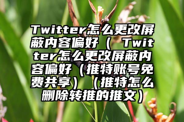Twitter怎么更改屏蔽内容偏好( Twitter怎么更改屏蔽内容偏好(推特账号免费共享)(推特怎么删除转推的推文)