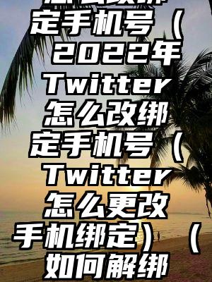 2022年Twitter怎么改绑定手机号（ 2022年Twitter怎么改绑定手机号（Twitter怎么更改手机绑定）（如何解绑手机号和twitter账号）