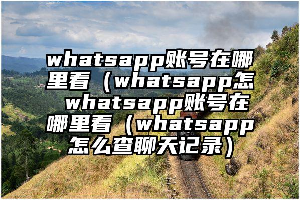 whatsapp账号在哪里看（whatsapp怎 whatsapp账号在哪里看（whatsapp怎么查聊天记录）