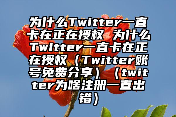 为什么Twitter一直卡在正在授权 为什么Twitter一直卡在正在授权（Twitter账号免费分享）（twitter为啥注册一直出错）
