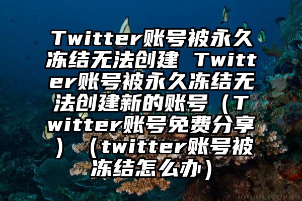 Twitter账号被永久冻结无法创建 Twitter账号被永久冻结无法创建新的账号（Twitter账号免费分享）（twitter账号被冻结怎么办）