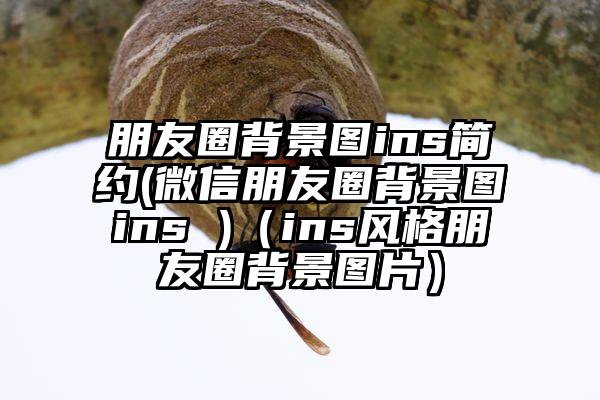 朋友圈背景图ins简约(微信朋友圈背景图ins )（ins风格朋友圈背景图片）