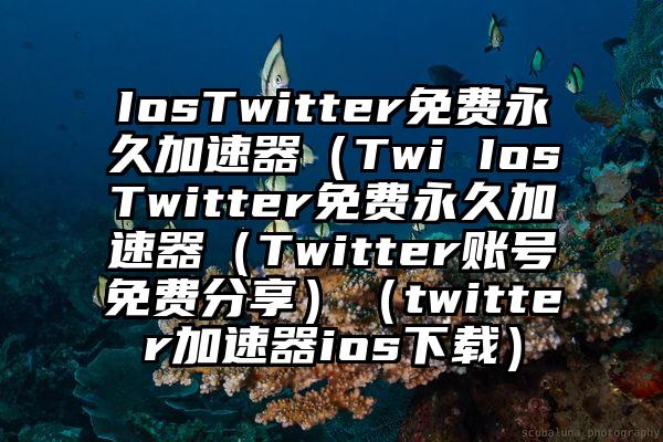 IosTwitter免费永久加速器(Twi IosTwitter免费永久加速器(Twitter账号免费分享)(twitter加速器ios下载)