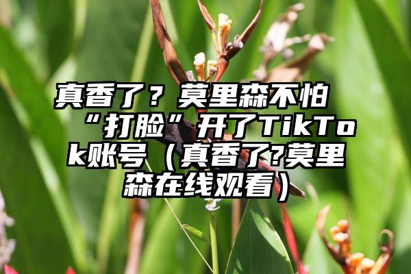 真香了？莫里森不怕“打脸”开了TikTok账号（真香了?莫里森在线观看）