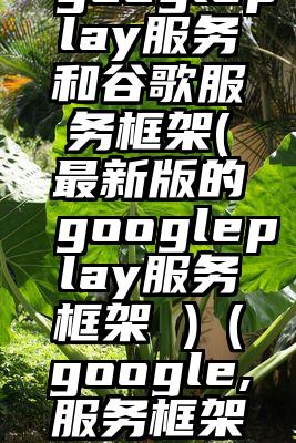 googleplay服务和谷歌服务框架(最新版的googleplay服务框架 )（google,服务框架）