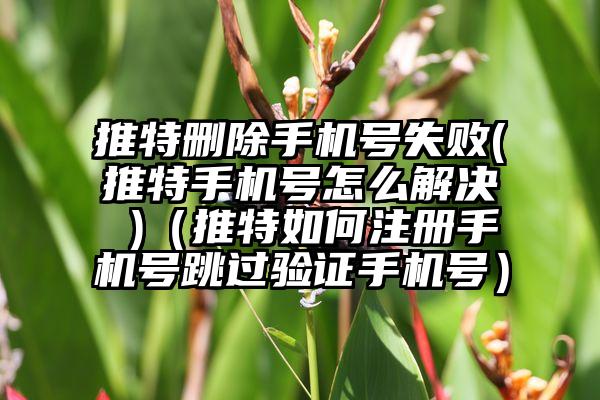 推特删除手机号失败(推特手机号怎么解决 )（推特如何注册手机号跳过验证手机号）
