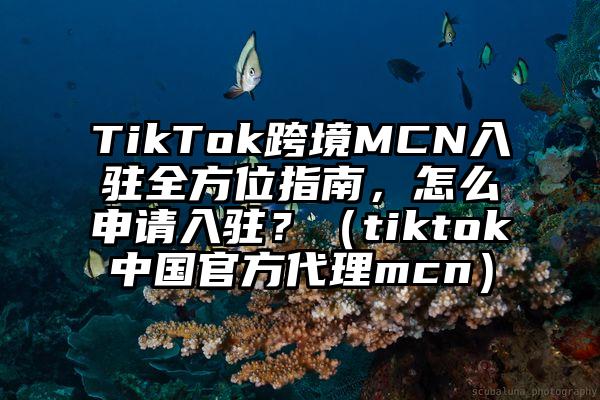 TikTok跨境MCN入驻全方位指南，怎么申请入驻？（tiktok中国官方代理mcn）