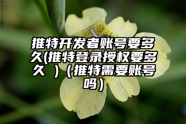 推特开发者账号要多久(推特登录授权要多久 )（推特需要账号吗）