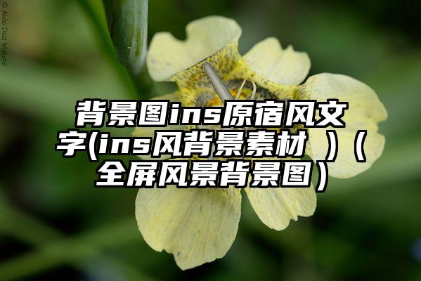 背景图ins原宿风文字(ins风背景素材 )（全屏风景背景图）