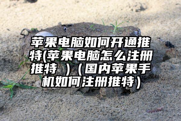 苹果电脑如何开通推特(苹果电脑怎么注册推特 )（国内苹果手机如何注册推特）