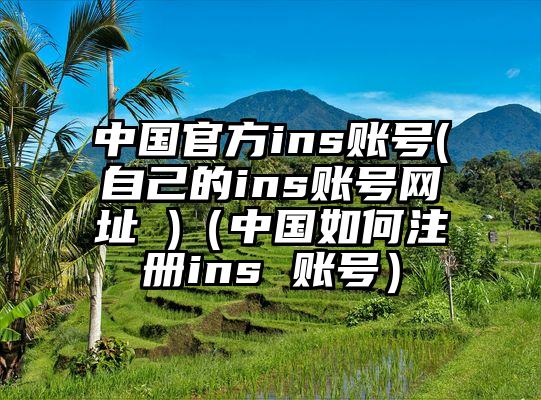 中国官方ins账号(自己的ins账号网址 )（中国如何注册ins 账号）