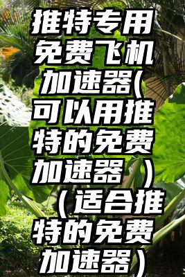 推特专用免费飞机加速器(可以用推特的免费加速器 )（适合推特的免费加速器）