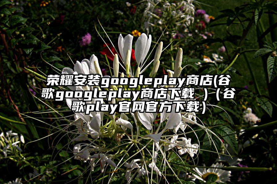 荣耀安装googleplay商店(谷歌googleplay商店下载 )（谷歌play官网官方下载）
