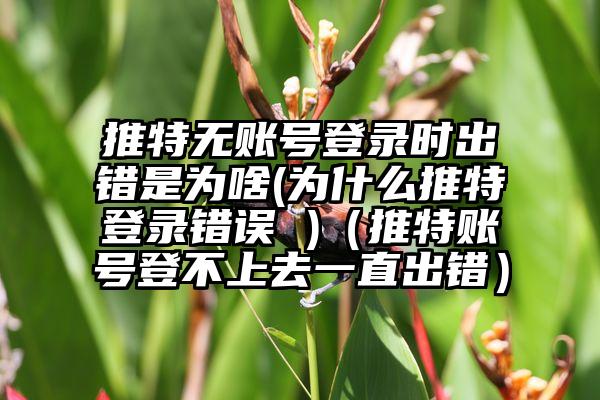 推特无账号登录时出错是为啥(为什么推特登录错误 )（推特账号登不上去一直出错）