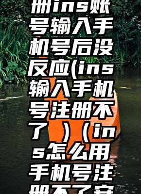 为什么注册ins账号输入手机号后没反应(ins输入手机号注册不了 )（ins怎么用手机号注册不了安卓）