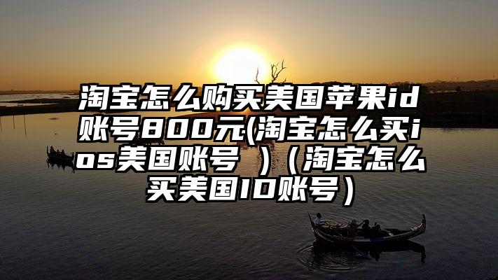 淘宝怎么购买美国苹果id账号800元(淘宝怎么买ios美国账号 )（淘宝怎么买美国ID账号）