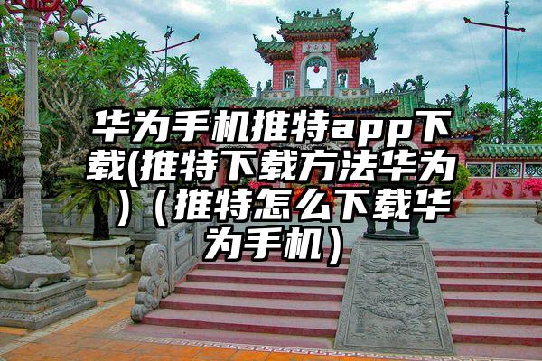 华为手机推特app下载(推特下载方法华为 )（推特怎么下载华为手机）